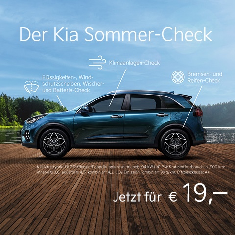 Der Kia Sommer Check
