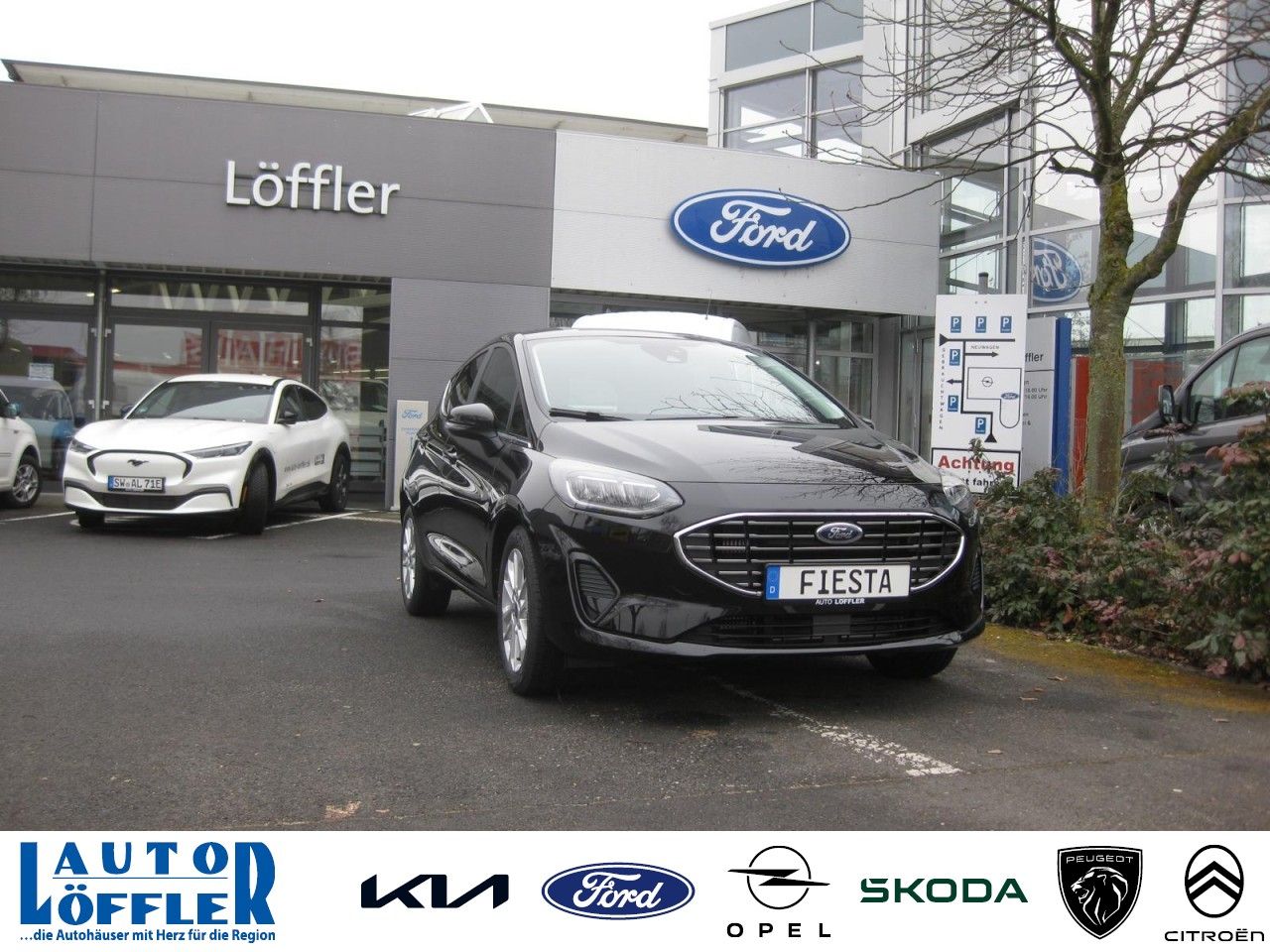 Ford Fiesta 1.0 Titanium Klima SHZ LHZ PDC DAB Klima