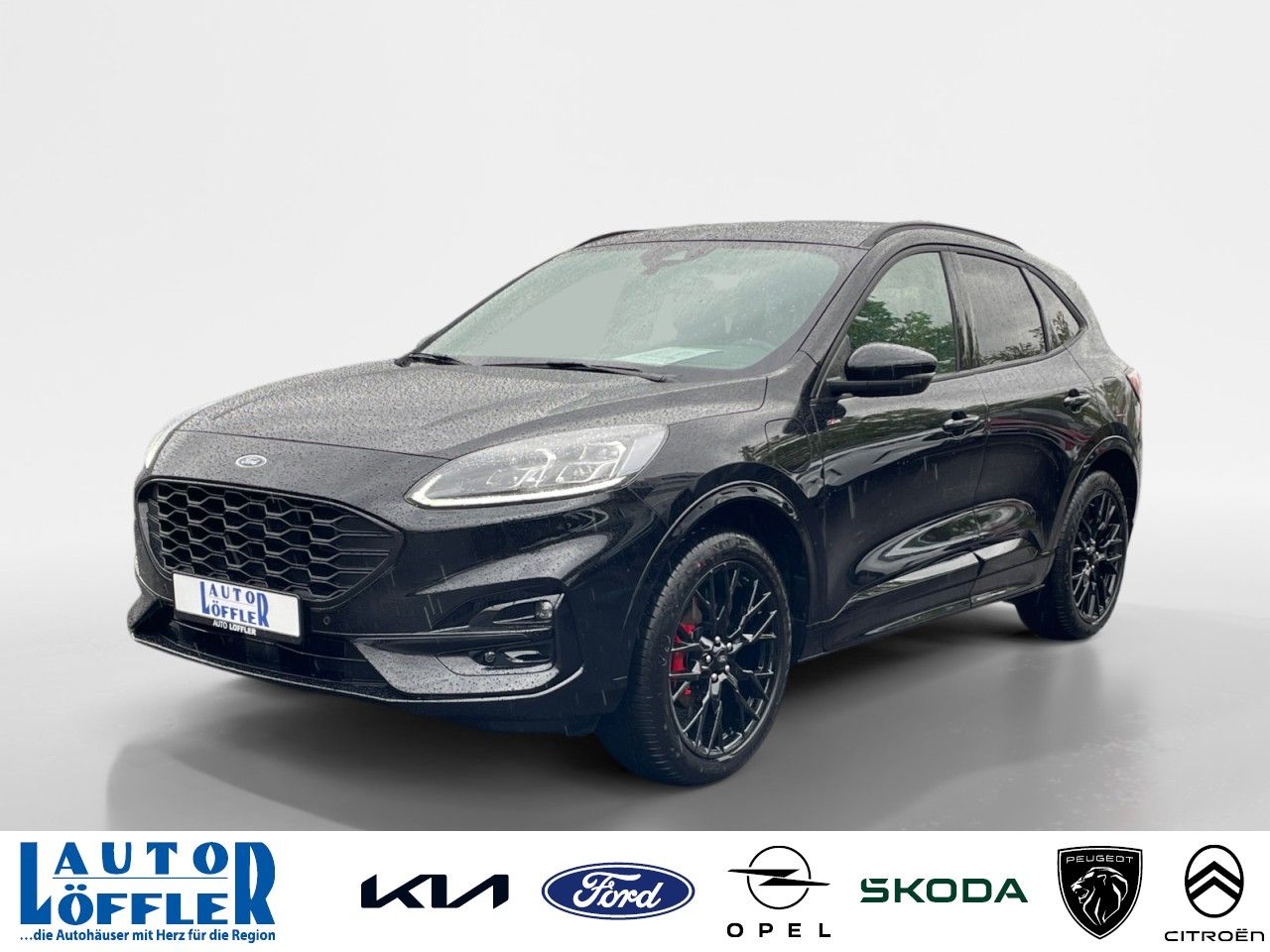 Ford Kuga 2,5 ST-Line X Navi Klima2Z PDC RFK SHZ FHZ