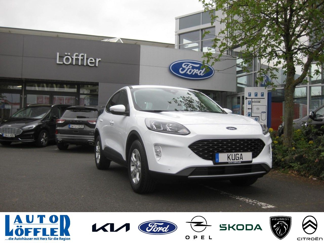 Ford Kuga 2.0 Cool & Connect Klima Navi SHZ LHZ FHZ