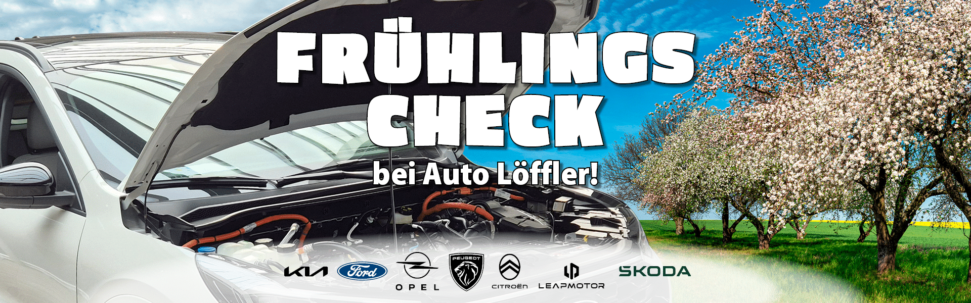 Der Frühjahrs-Check bei Auto Löffler. Sicher ins neue Jahr starten.